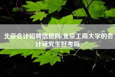 北京会计招聘信息网(北京工商大学的会计研究生好考吗)