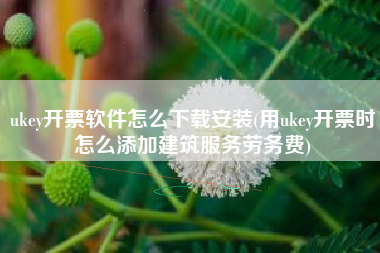 ukey开票软件怎么下载安装(用ukey开票时怎么添加建筑服务劳务费)