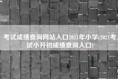 考试成绩查询网站入口2021年小学(2021考试小升初成绩查询入口)
