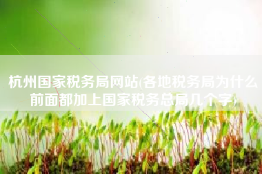 杭州国家税务局网站(各地税务局为什么前面都加上国家税务总局几个字)