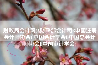财政局会计网(A财政部会计司B中国注册会计师协会C中国会计学会D中国总会计师协会E中国审计学会)