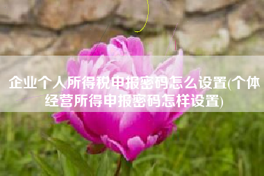 企业个人所得税申报密码怎么设置(个体经营所得申报密码怎样设置)