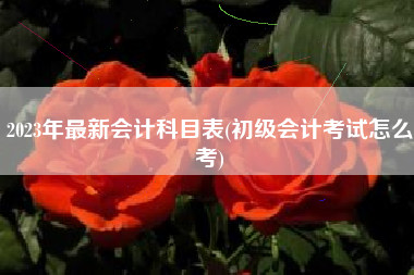 2023年最新会计科目表(初级会计考试怎么考)