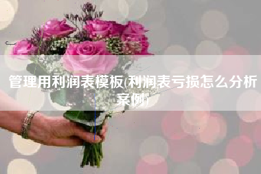 管理用利润表模板(利润表亏损怎么分析案例)