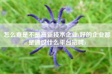 怎么查是不是高新技术企业(好的企业都是通过什么平台招聘)