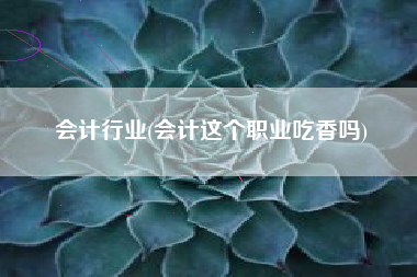 会计行业(会计这个职业吃香吗)