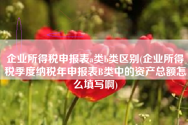 企业所得税申报表a类b类区别(企业所得税季度纳税年申报表B类中的资产总额怎么填写啊)