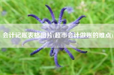 会计记账表格图片(超市会计做账的难点)