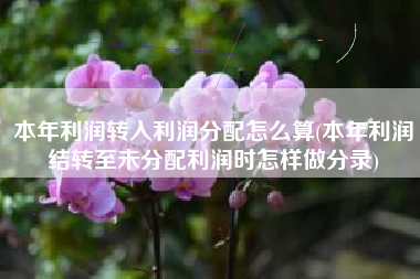 本年利润转入利润分配怎么算(本年利润结转至未分配利润时怎样做分录)