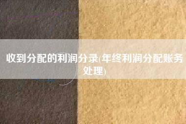收到分配的利润分录(年终利润分配账务处理)