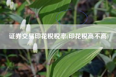 证券交易印花税税率(印花税高不高)