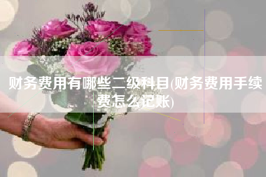 财务费用有哪些二级科目(财务费用手续费怎么记账)
