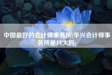 中国最好的会计师事务所(华兴会计师事务所是八大吗)