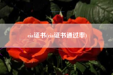cia证书(cia证书通过率)