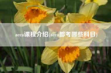 详细阅读:acca课程介绍(acca都考哪些科目) acca课程介绍(acca都考哪些科目)