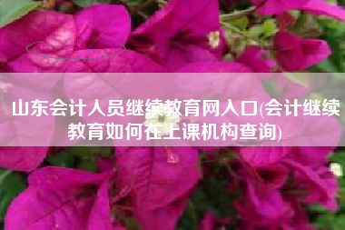 详细阅读:山东会计人员继续教育网入口(会计继续教育如何在上课机构查询) 山东会计人员继续教育网入口(会计继续教育如何在上课机构查询)