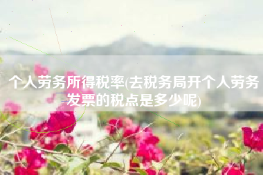 个人劳务所得税率(去税务局开个人劳务发票的税点是多少呢)