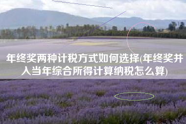 年终奖两种计税方式如何选择(年终奖并入当年综合所得计算纳税怎么算)