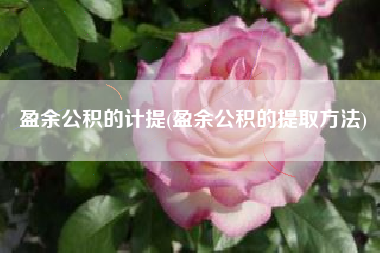 盈余公积的计提(盈余公积的提取方法)