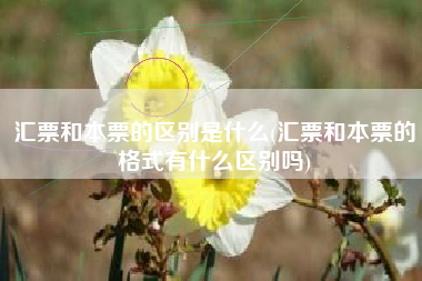 汇票和本票的区别是什么(汇票和本票的格式有什么区别吗)