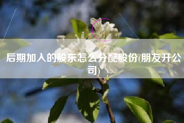 后期加入的股东怎么分配股份(朋友开公司)