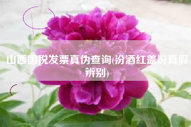 山西国税发票真伪查询(汾酒红盖汾真假辨别)