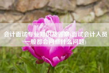 详细阅读:会计面试专业知识及答案(面试会计人员一般都会问些什么问题) 会计面试专业知识及答案(面试会计人员一般都会问些什么问题)