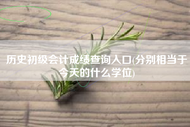 详细阅读:历史初级会计成绩查询入口(分别相当于今天的什么学位) 历史初级会计成绩查询入口(分别相当于今天的什么学位)