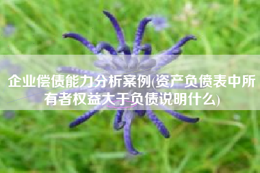 详细阅读:企业偿债能力分析案例(资产负偾表中所有者权益大于负债说明什么) 企业偿债能力分析案例(资产负偾表中所有者权益大于负债说明什么)