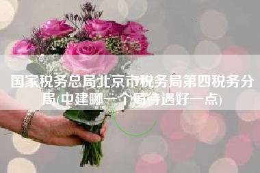 国家税务总局北京市税务局第四税务分局(中建哪一个局待遇好一点)