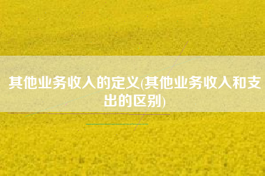 其他业务收入的定义(其他业务收入和支出的区别)