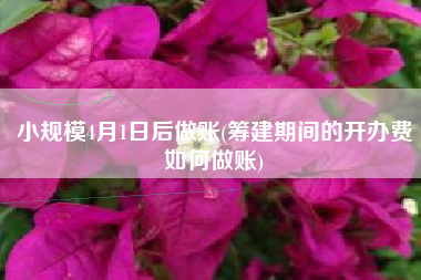 小规模4月1日后做账(筹建期间的开办费如何做账)