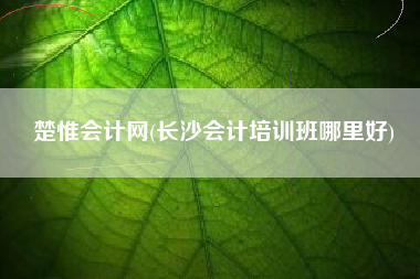 楚惟会计网(长沙会计培训班哪里好)
