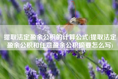 提取法定盈余公积的计算公式(提取法定盈余公积和任意盈余公积摘要怎么写)