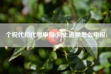 个税代扣代缴申报(网上逾期怎么申报)