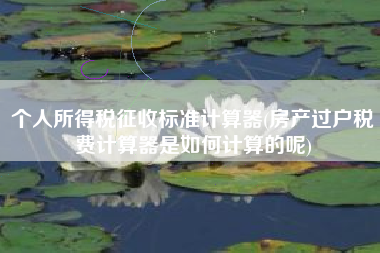 个人所得税征收标准计算器(房产过户税费计算器是如何计算的呢)