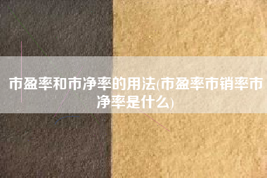 市盈率和市净率的用法(市盈率市销率市净率是什么)