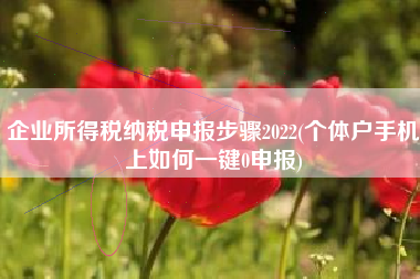 企业所得税纳税申报步骤2022(个体户手机上如何一键0申报)
