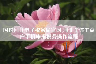 国税河北电子税务局官网(河北个体工商户手机申报税务操作流程
)