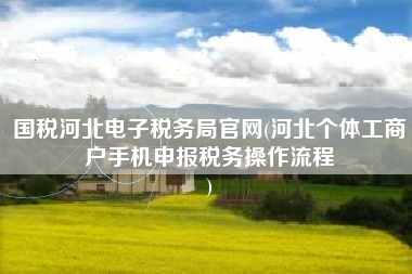 国税河北电子税务局官网(河北个体工商户手机申报税务操作流程
)