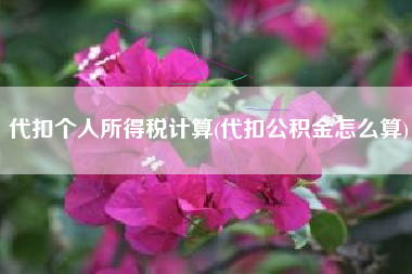 详细阅读:代扣个人所得税计算(代扣公积金怎么算) 代扣个人所得税计算(代扣公积金怎么算)