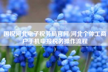 国税河北电子税务局官网(河北个体工商户手机申报税务操作流程
)