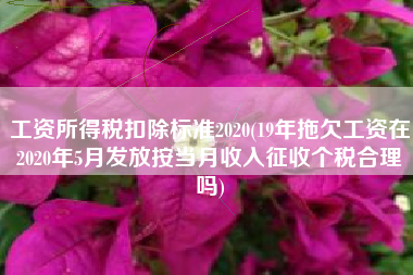 详细阅读:工资所得税扣除标准2020(19年拖欠工资在2020年5月发放按当月收入征收个税合理吗) 工资所得税扣除标准2020(19年拖欠工资在2020年5月发放按当月收入征收个税合理吗)