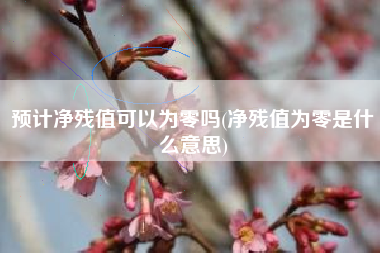 详细阅读:预计净残值可以为零吗(净残值为零是什么意思) 预计净残值可以为零吗(净残值为零是什么意思)