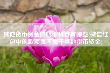 详细阅读:其他货币资金的明细科目有哪些(微信红包中的款项属不属于其他货币资金) 其他货币资金的明细科目有哪些(微信红包中的款项属不属于其他货币资金)