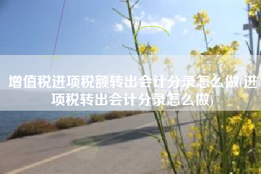 详细阅读:增值税进项税额转出会计分录怎么做(进项税转出会计分录怎么做) 增值税进项税额转出会计分录怎么做(进项税转出会计分录怎么做)
