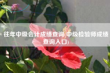 往年中级会计成绩查询(中级检验师成绩查询入口)