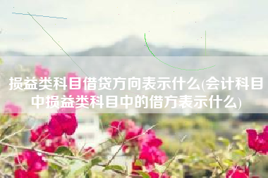 损益类科目借贷方向表示什么(会计科目中损益类科目中的借方表示什么)