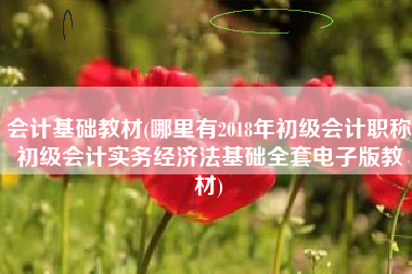 会计基础教材(哪里有2018年初级会计职称初级会计实务经济法基础全套电子版教材)