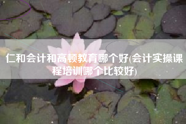 仁和会计和高顿教育哪个好(会计实操课程培训哪个比较好)